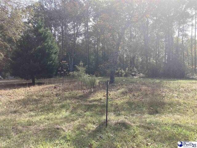 House for sale in Dillon, South Carolina