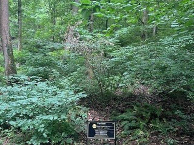 Land for sale in Nashville Land for sale in Nashville