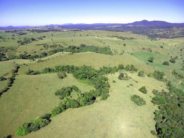 Cottage for sale in Millaa Millaa
