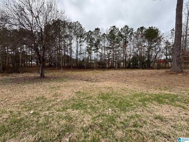 Land for sale in Jasper, Alabama