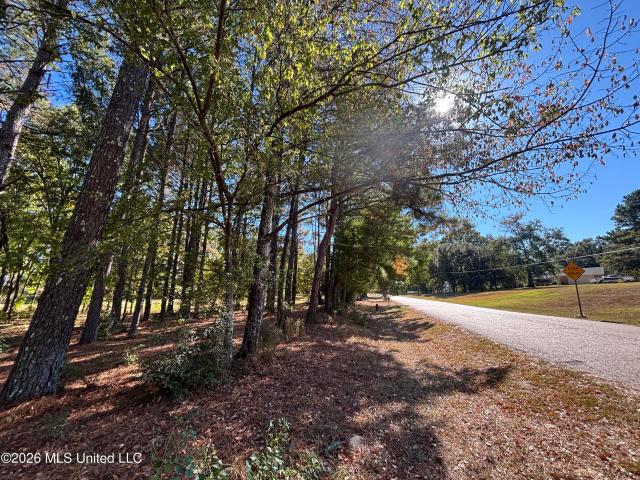 Land for sale in Ridgeland, Madison County