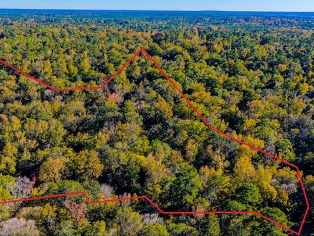 Land for sale in Goodrich, Polk County