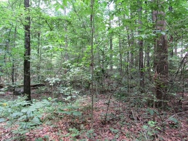 Land for sale in Dalton, Georgia