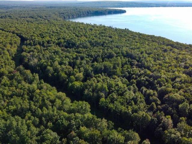 Land for sale in Cornucopia, Wisconsin
