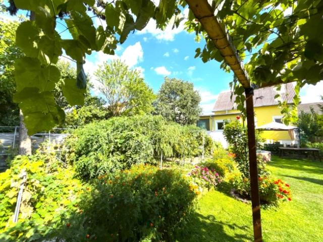 Einfamilienhaus kaufen in Donaustadt, Wien
