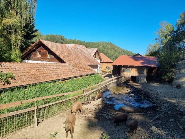 Haus kaufen in St. Leonhard bei Freistadt, Oberösterreich