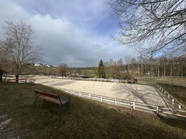 Immobilie mieten in Ampflwang im Hausruckwald, Oberösterreich