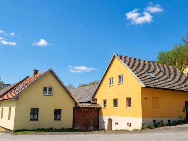 Haus kaufen in Hochneukirchen-Gschaidt, Niederösterreich