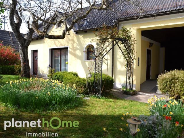 Haus kaufen in Rechnitz