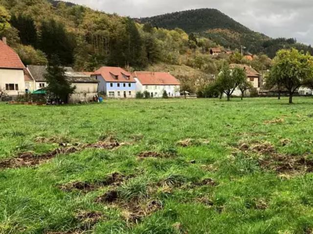 Terrain vente à Colmar-Ribeauvillé, Rombach-le-franc