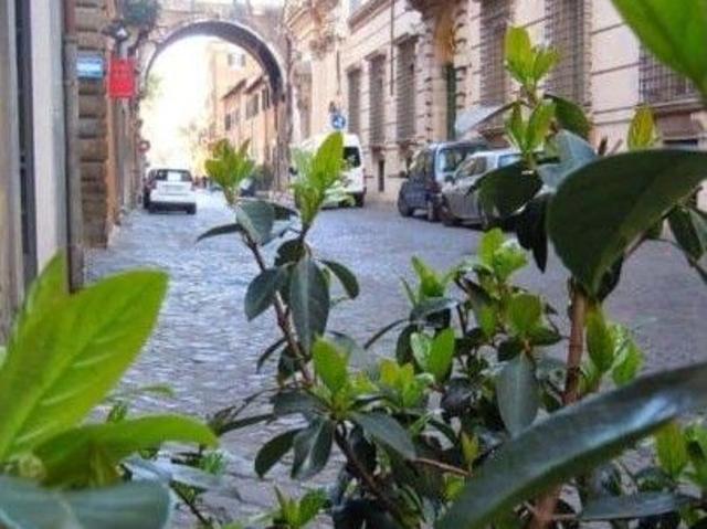 Appartamento in affitto a Municipio Roma I, Roma Capitale