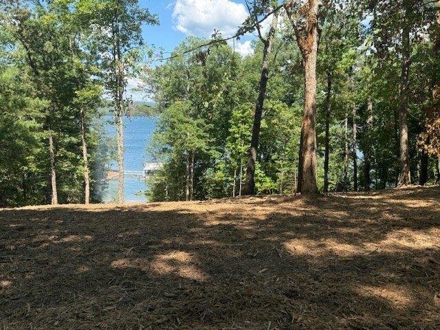 Land for sale in Blue Ridge