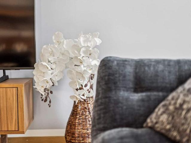 Apartment mieten in Einigen, Zürich