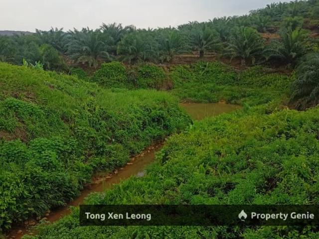 Property for sale in Daerah Rompin, Negeri Sembilan