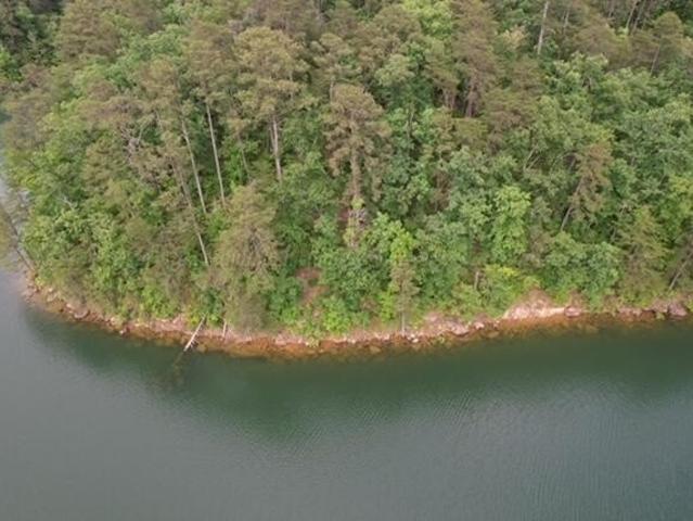 Land for sale in Arley, Alabama