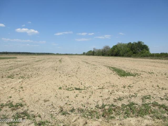 Farm for sale in Evangeline, Louisiana