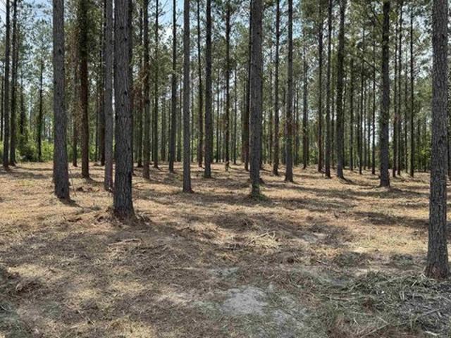 Land for sale in Bay Minette, Alabama