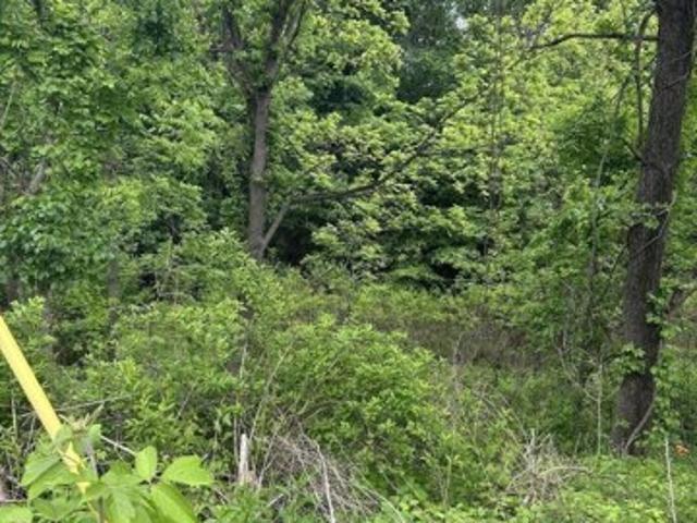 Land for sale in Kingston