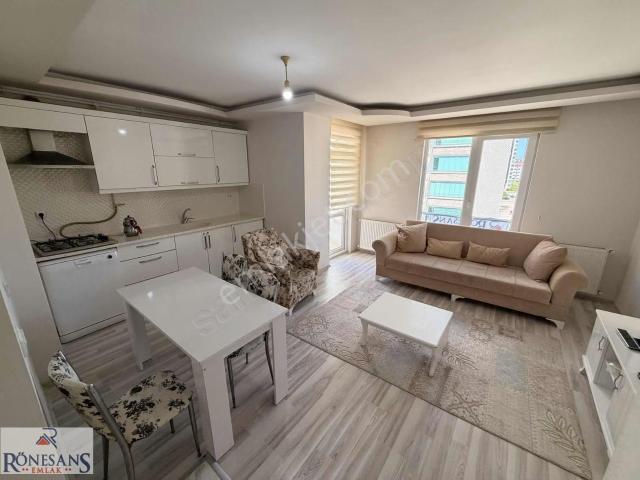 Atakum, Samsun içerisinde kiralık mülk