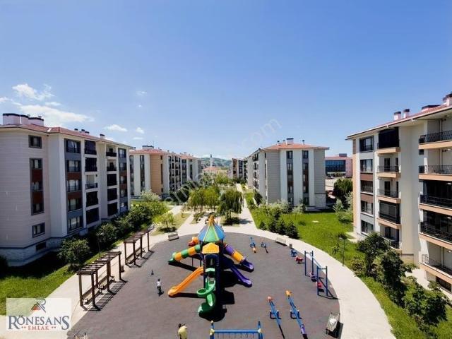 19 Mayis, Samsun içerisinde kiralık mülk