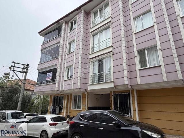 Bafra, Samsun içerisinde kiralık mülk
