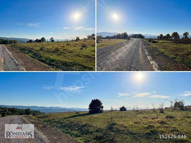Kavak, Samsun içerisinde satılık Arsa