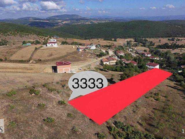 Karacaarslan, Kavak içerisinde satılık Arsa
