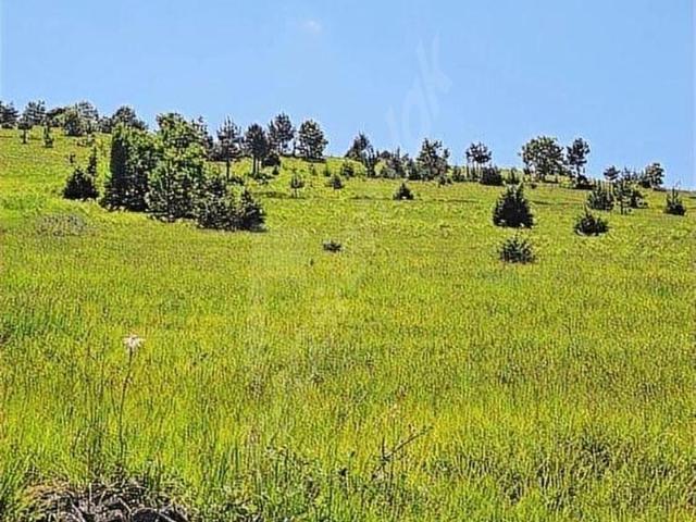 Kavak, Samsun içerisinde satılık Arsa