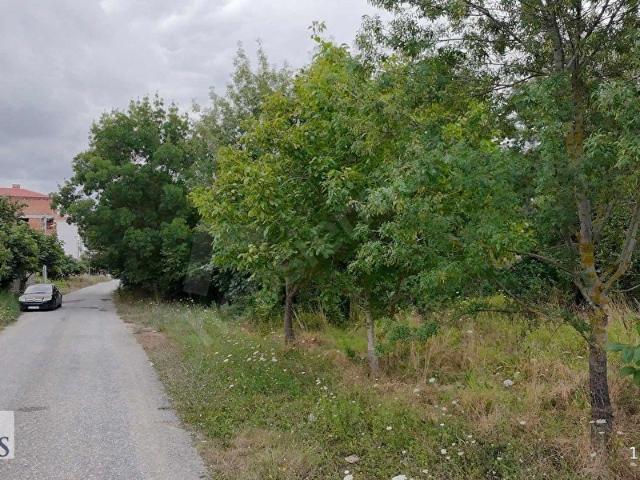 Bafra, Samsun içerisinde satılık Arsa
