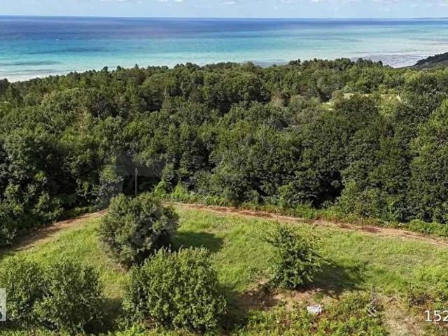Erfelek, Sinop içerisinde satılık Arsa