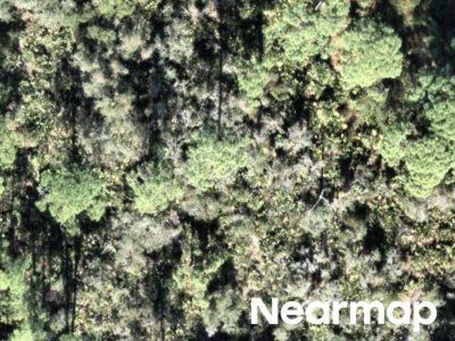 Land for sale in Lake Placid, Florida