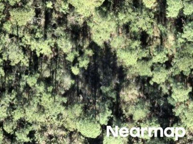 Land for sale in Lake Placid, Florida