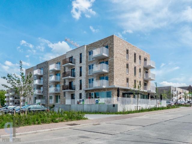 Appartement location à Renaix, Oost-Vlaanderen
