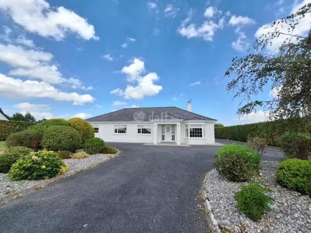 House to rent