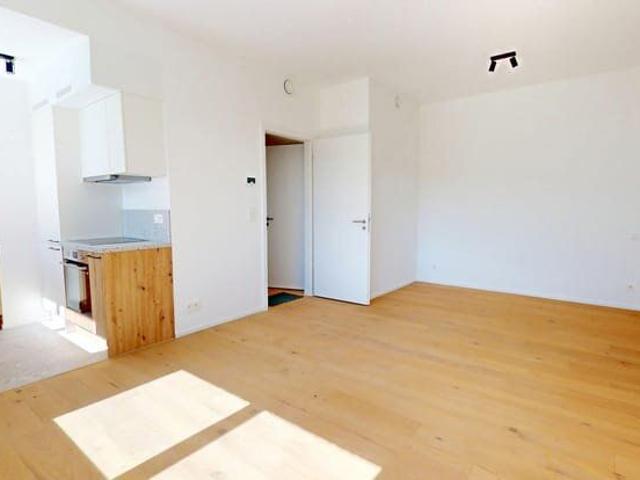 Kot location à Sint-lambrechts-woluwe, Bruxelles