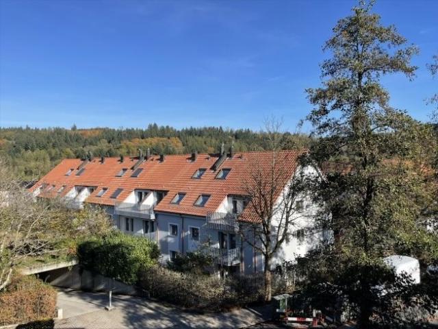 Apartment mieten in Baden, Aargau