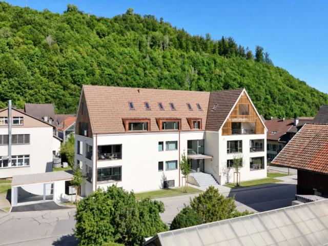 Immobilie kaufen in Hölstein, Basel-Landschaft