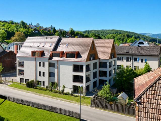 Immobilie kaufen in Hölstein, Basel-Landschaft
