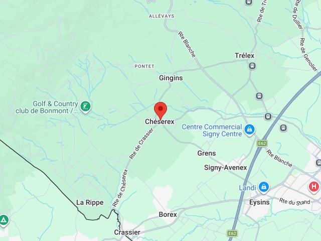 Immobilie kaufen in Chéserex, Waadt