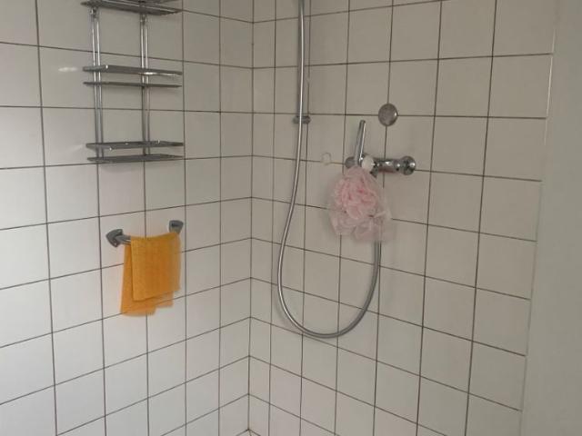 Apartment mieten in Riehen, Basel-Stadt