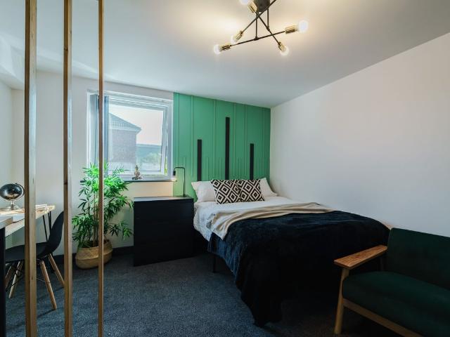 Studio for rent in New Zealand, Mackworth