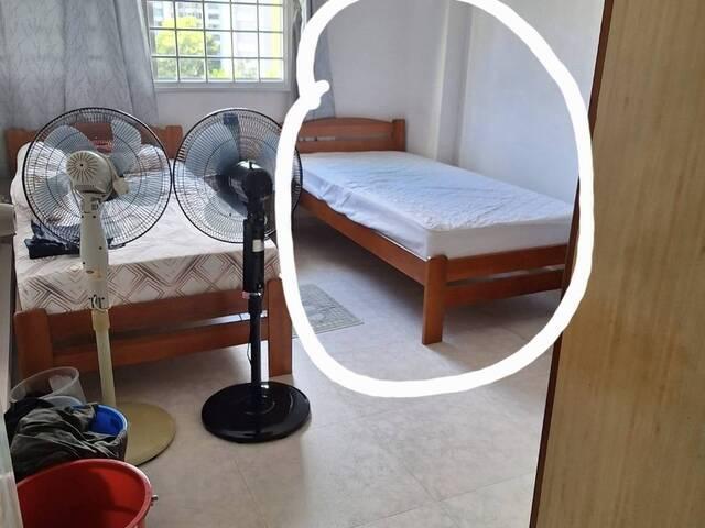 Room for rent