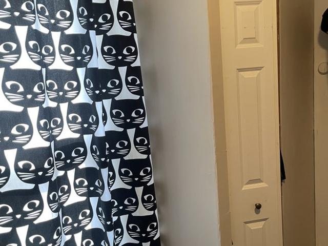 Room for rent in Meriden, Connecticut