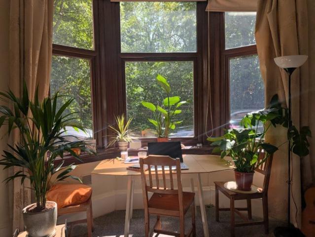 Room for rent in Wellmeadow, Scotland
