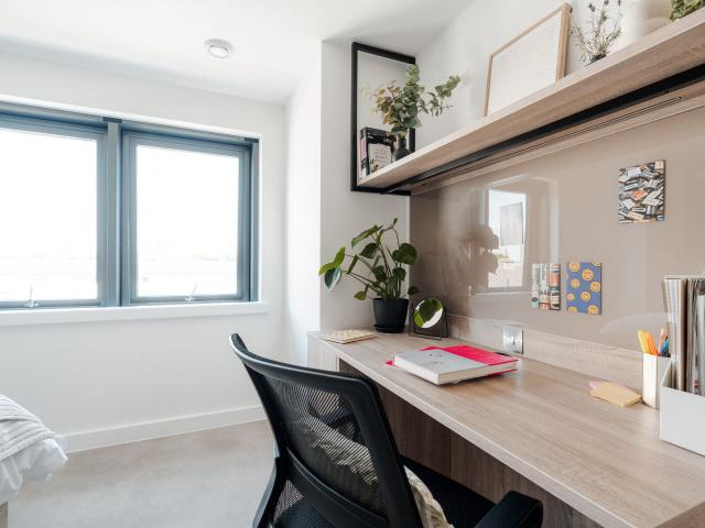 Room for rent in London Borough of Lewisham, New Cross
