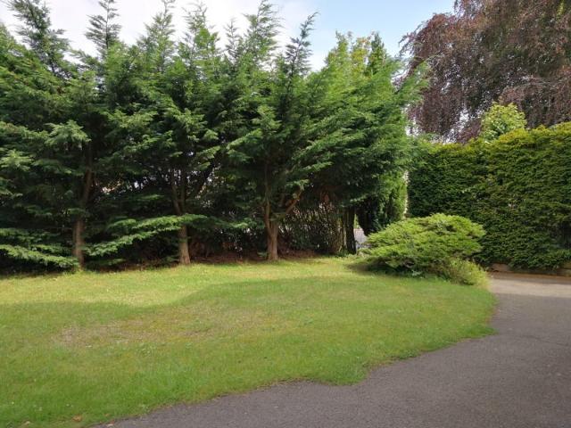 Room for rent in Craigmillar Park, City of Edinburgh