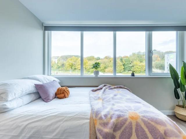 Room for rent in Blackness, Scotland