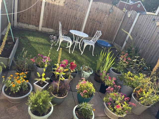 Room for rent in Georgia, Greater Manchester