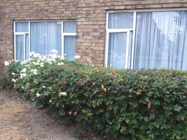 Room for rent in Forest Gate, Greater London