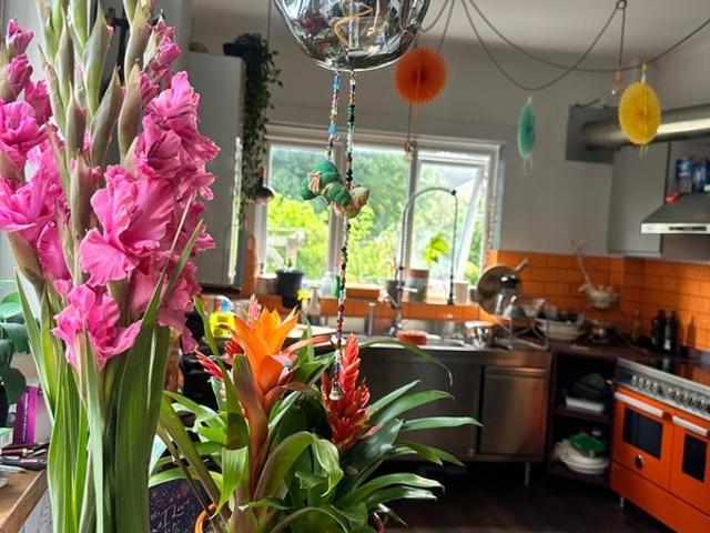 Room for rent in Nether Edge, South Yorkshire